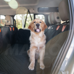 Marlo&Co™ Dog Seat Cover - Image 4